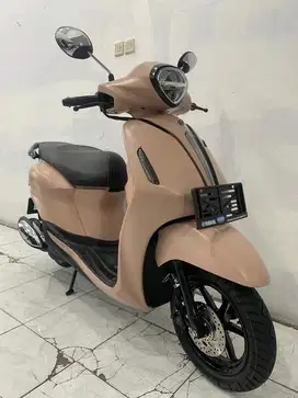 Grand filano lux 2025