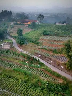 TANAH VIEW TANGKUBAN PERAHU COCOK UNTUK VILLA DAN BISNIS