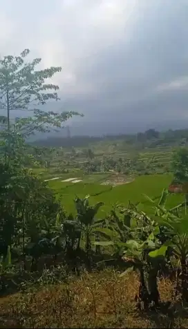 Tanah di Sukabumi Bojong genteng jual murah