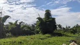 Dijual Tanah Sekitar Samsat Kota Malang