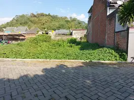 Tanah Kampus Prospek Kos