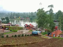 DIJUAL TANAH KEBUN VIEW WISATA SITU CILEUNCA