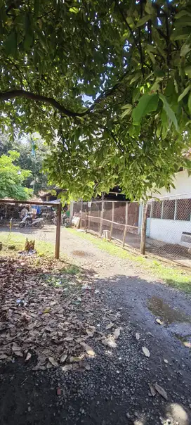 Jual Rumah Tua Hitung Tnh cocok utk Kos2an Jl. H. Sidik Karet Kuningan