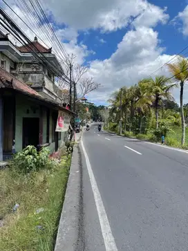 Dijual Tanah 26 Are Bonus Bangunan Ex Resto di Ubud