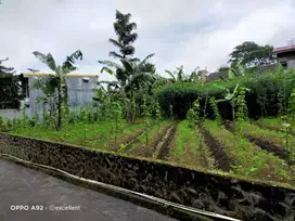Tanah Datar Cocok Dibangun Villa Tawangmangu Karanganyar