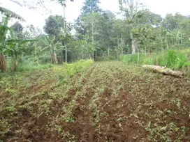 Dijual Tanah Cocok untuk Perumahan dan Wisata Strategis Mojokerto
