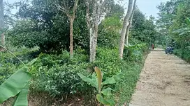 Kebun Buah2an Lt. 800, Dekat Fasilitas Umum, Bojong, Purwakarta.
