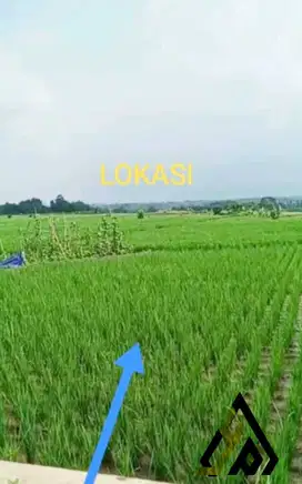 Dijual tanah industri lokasi Cibogo Subang, Luas 35 Ha Harga Murah