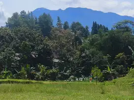 Tanah Luas 500 M2 Di Megamendung Bogor Dekat Exit Tol