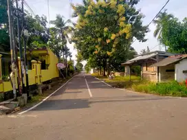 JUAL TANAH COCOK UNTUK GUDANG 2500m BANDAR LAMPUNG BEBAS BANJIR