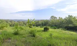 tanah view bukit yang cantik di kulon progo yogyakarta