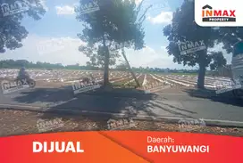 Di Jual Tanah Sawah Luas 2,4 Ha Di Jl.Raya Petung,Rogojampi Banyuwangi
