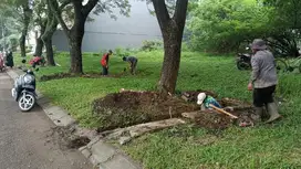 jual tanah murah daerah kronjo sawah kp muncung