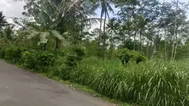 dijual tanah pinggir jalan besar harga terjangkau