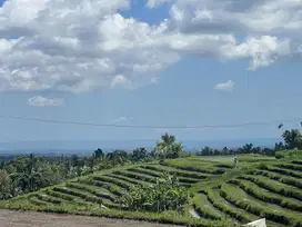 Di jual tanah cocok untuk villa atau hunian pribadi view sawah