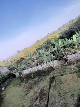 Dijual / Leasehold cepat tanah murah di Kintamani Bangli Bali