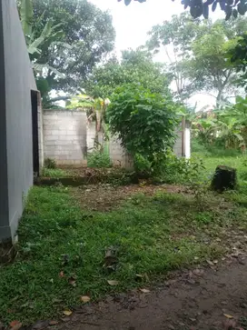 Dijual tanah dekat BSD dan Unpam2 viktor