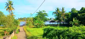 Tanah 2500 M2 Dkt Muara Pantai Pengambengan Negara Jembrana Bali