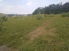 Dijual Tanah Kawasan Industri Candi 2,3 hektar. Harga di bawah NJOP