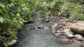 Tanah cocok untuk resort atau villa los sungai view jungle