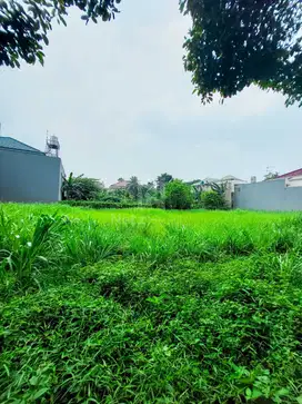 Dijual Tanah Jl. Metro alam 3
