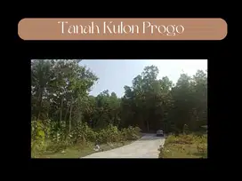 Tanah Jogja Murah, 60 Jtan, Strategis Kulon Progo
