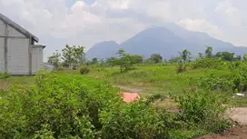 SOLUSI MEMILIKI ASET TANAH DI MOJOSARI