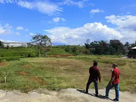 Jual cepat lokasi tanah 75m di megamendung puncak bogor