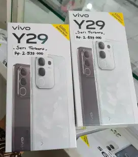 Vivo Y29 6+6/128