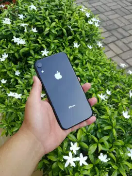 Iphone Xr 64gb Dualsim fisik Fullset oryginal no hf