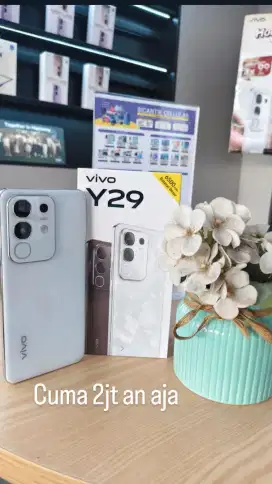 Vivo V29 series