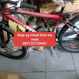 Jual sepeda MTB ukuran 26 united miami