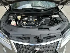 CUMA 70JT!! LEXUS RX300 F SPORT 2.0 2019 BENSIN A/T