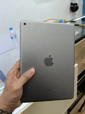 iPad air 2 16 gbwifi