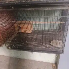 Fox besi bekas ternak