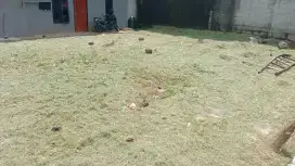 Jasa potong rumput