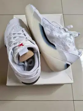 AIR JORDAN XXXIX PF - AIR JORDAN TYPE 39 MEN'S BASKETBALL SHOES ORI