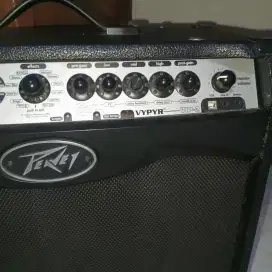 cuk speaker guitar peavey
