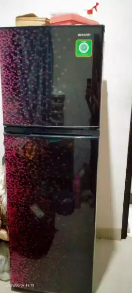 Kulkas sharp 2 pintu