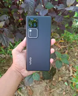 Vivo V30 5g 8/256