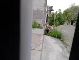 cari loker daerah pasir putih