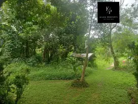 DI JUAL TANAH 3000 METER & ADA BANGUNAN RUMAH DI CIAMPEA BOGOR!!