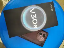 Vivo v30e 8/128