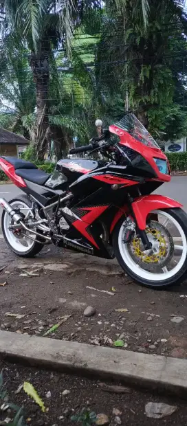 Kawasaki ninja RR 2014