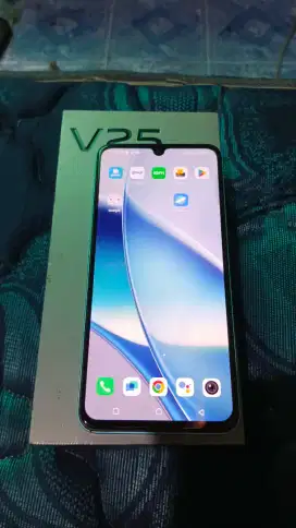 VIVO V25 5G 8+8 256