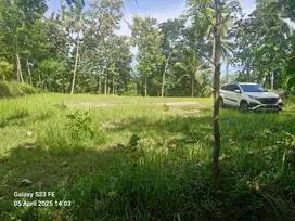 Tanah Murah Nanggulan