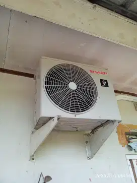 AC Sharp 1/2 pk