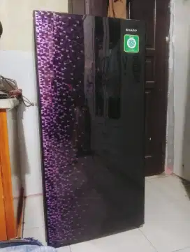 Kulkas Sharp 1 Pintu