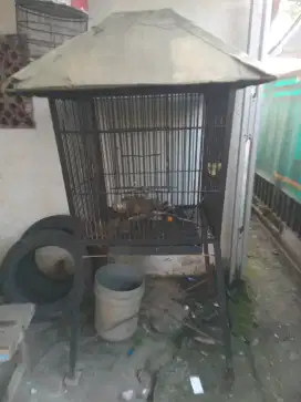 Kandang besi untuk burung&ayam