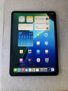 iPad Pro 11 (2nd Gen)